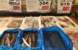 鮮魚